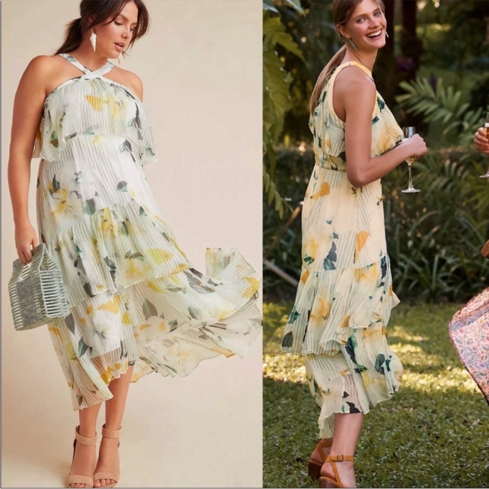 Anthropologie Garden Party Midi Dress Ivory Floral Size 6